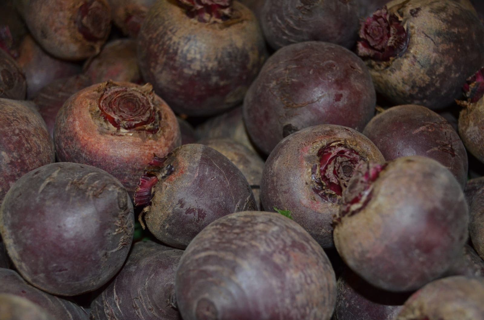 Betterave rouge